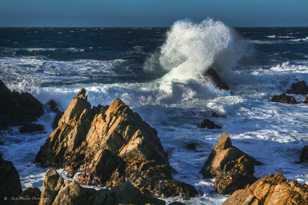 Wave on 17 Mile Drive-0160 Wave on 17 Mile Drive-0160